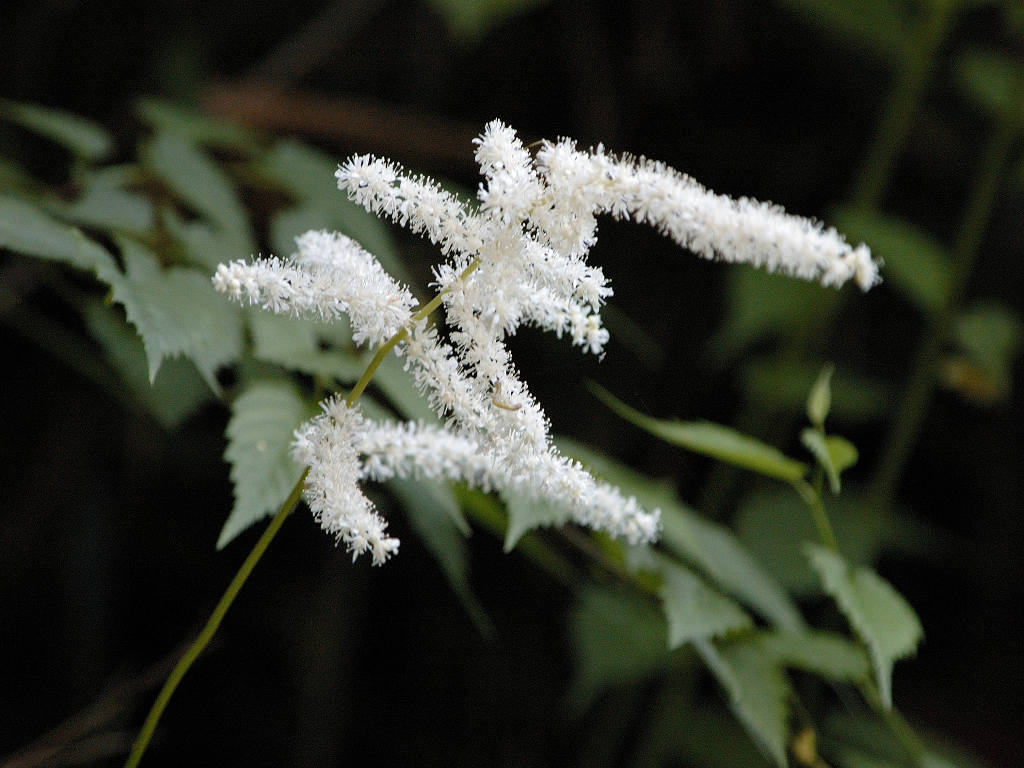 05.06.12.�i�����R�j