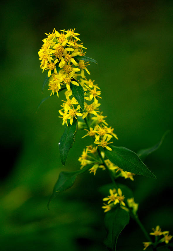 12.10.10.  (hata-gre)