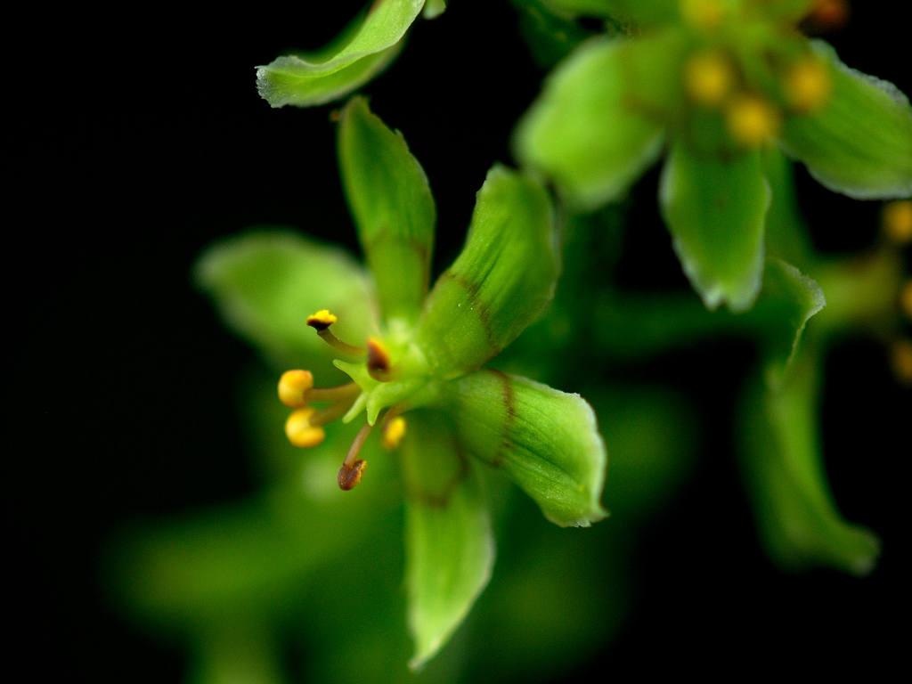 12.07.24.  (hata-gre)