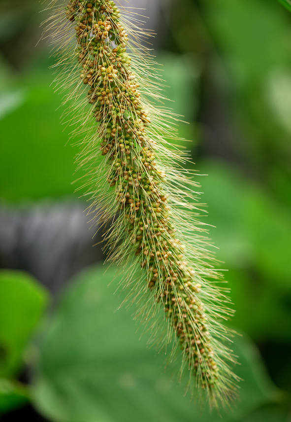 12.08.25.  (hata-gre)