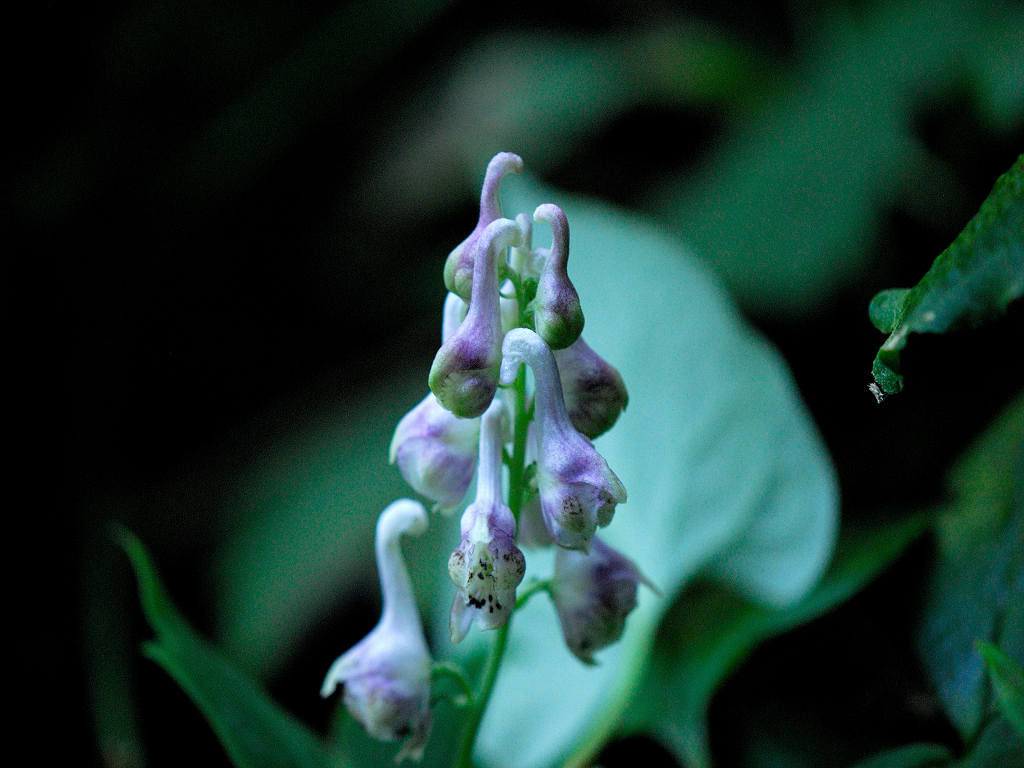 12.09.26.  (hata-gre)