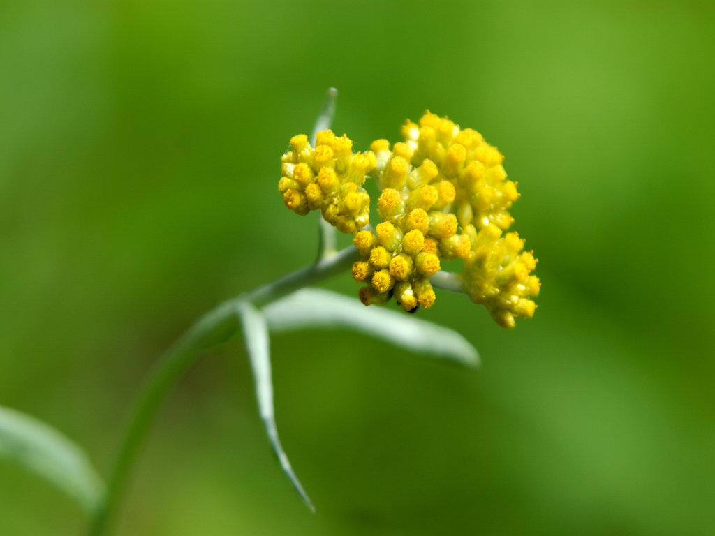 06.06.10.(�����R�j