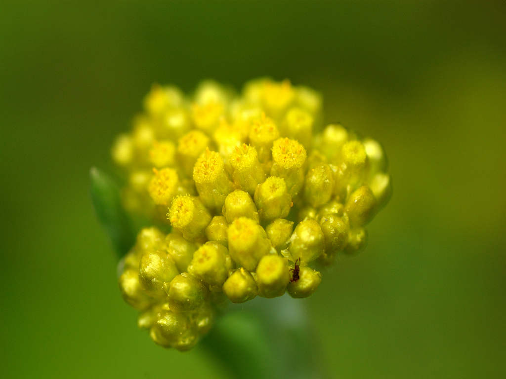 08.05.24.(�����R�j