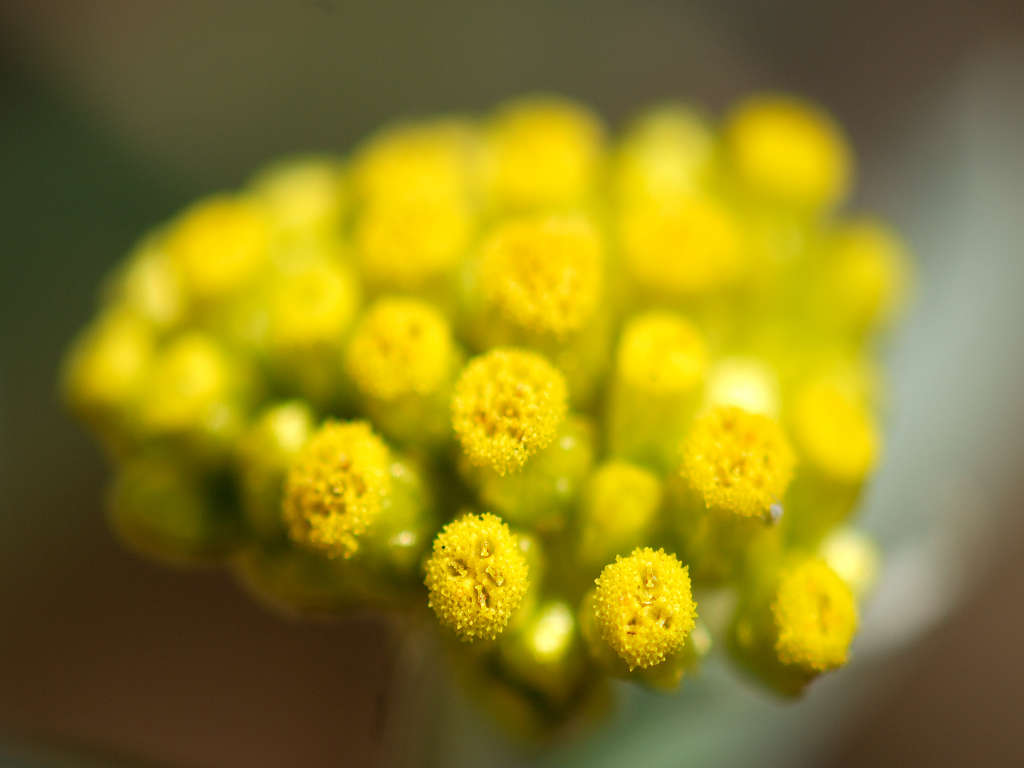 12.05.26.(�����Βn�j