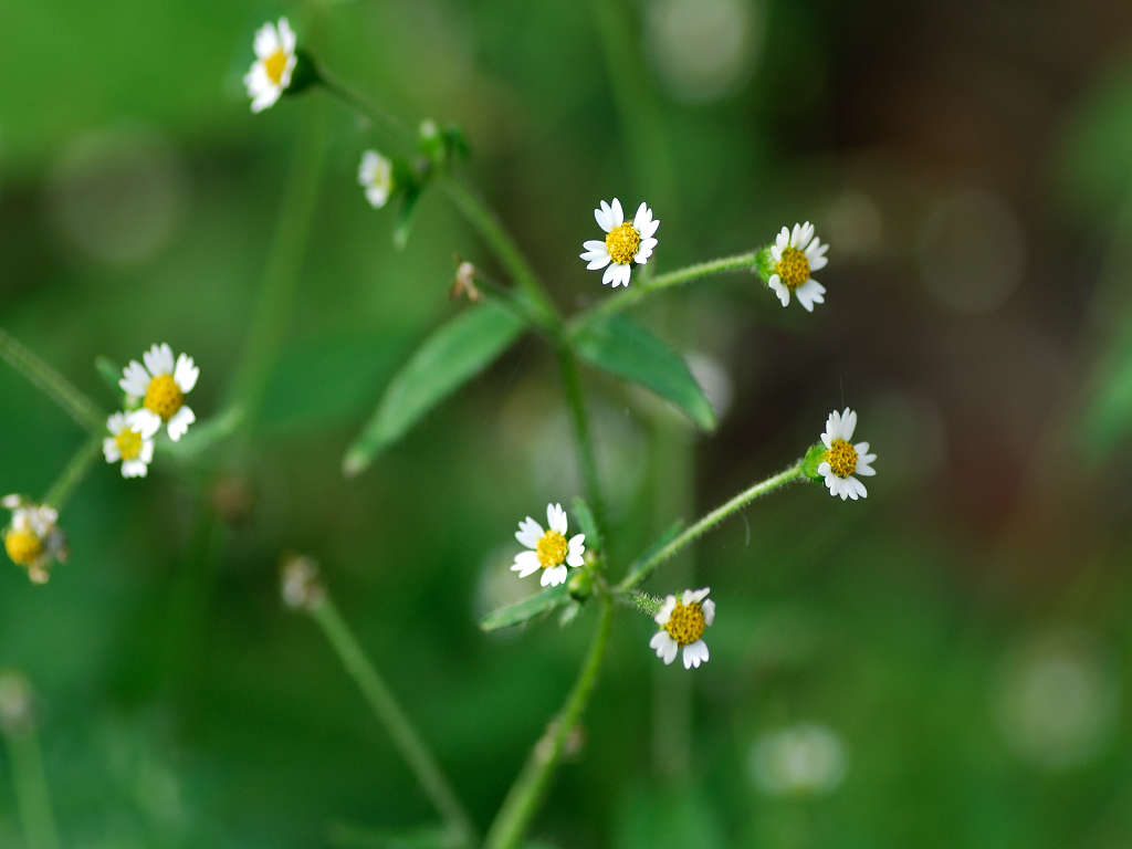 11.10.18.  (hata-gre)