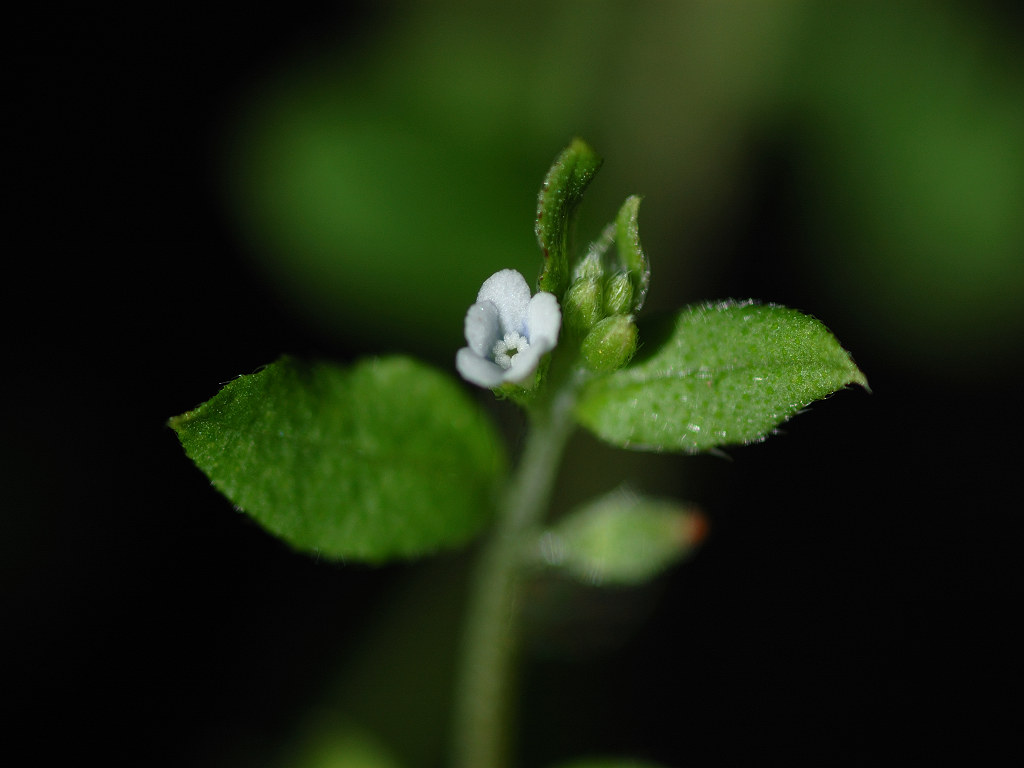 08.10.02.(�����R�j