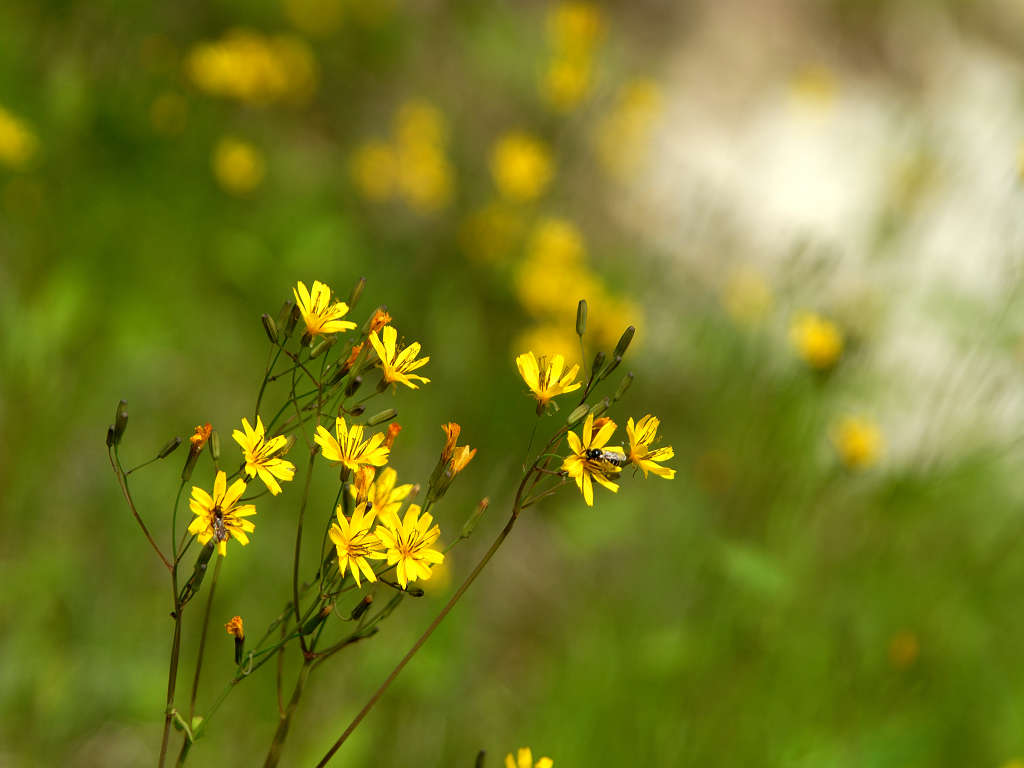 06.05�D22�D (taiha-mt)