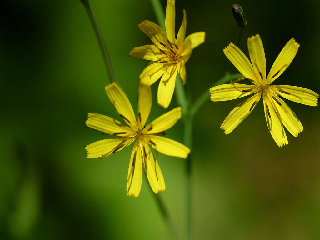 07.05.21.  (taiha-mt)