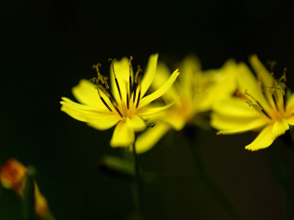 06.05.22.  (taiha-mt)