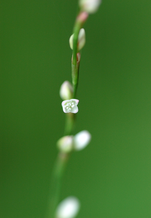 06.09.15.(�����R�j