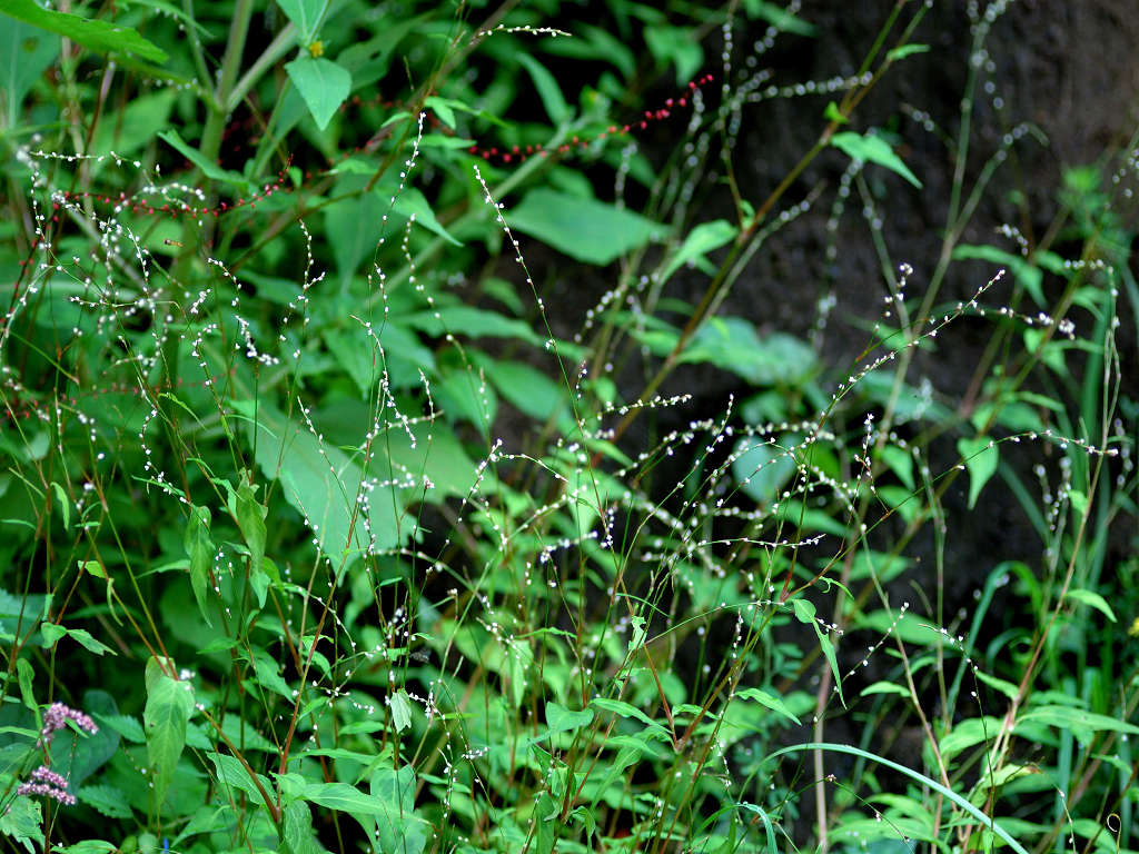 07.09.20.(�����R�j