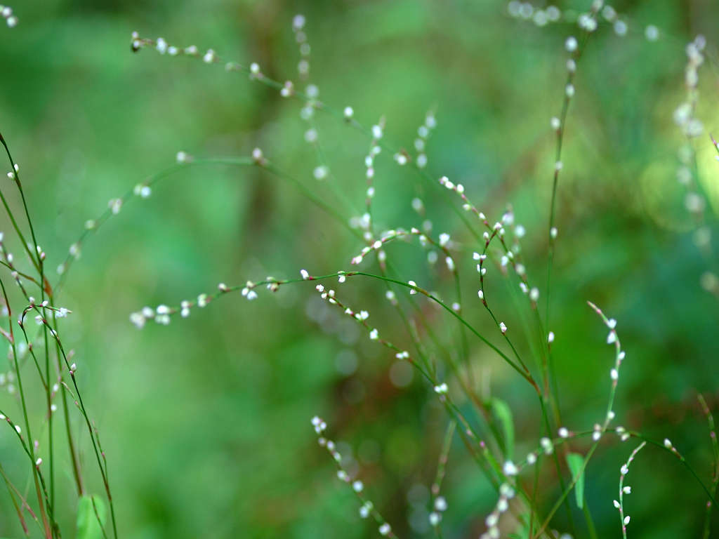 07.09.20.(�����R�j