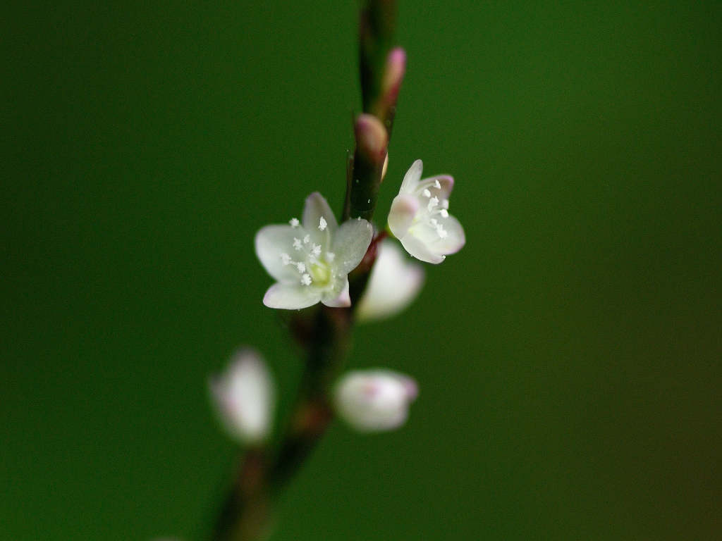 11.09.25.(�����Βn�j