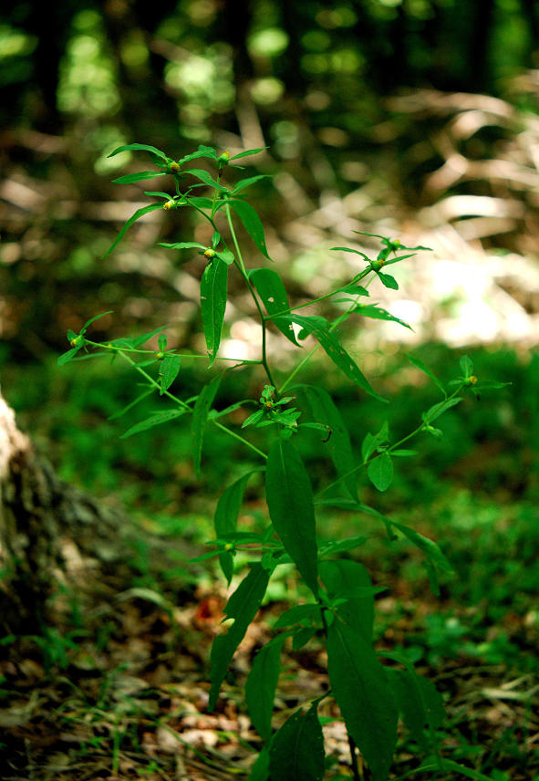 12.08.21.    (tai-mt)