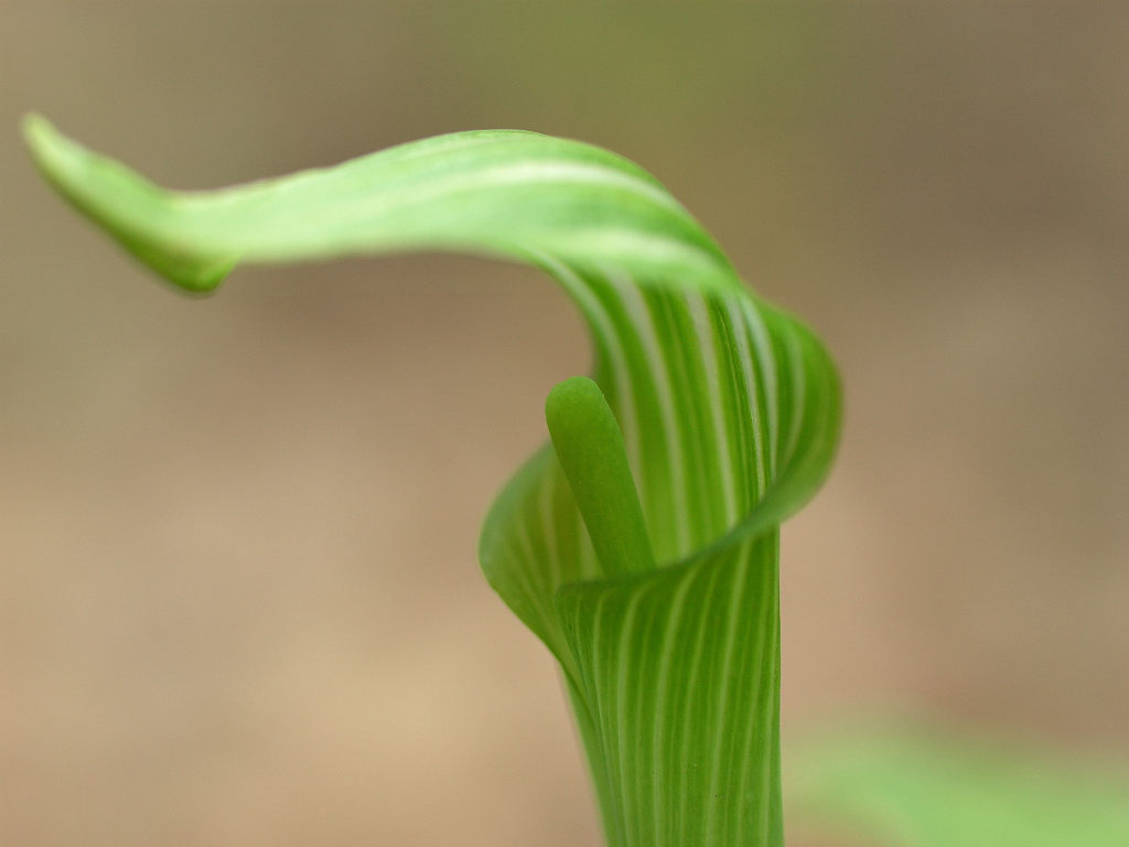 06.05.12.  (taiha-mt)