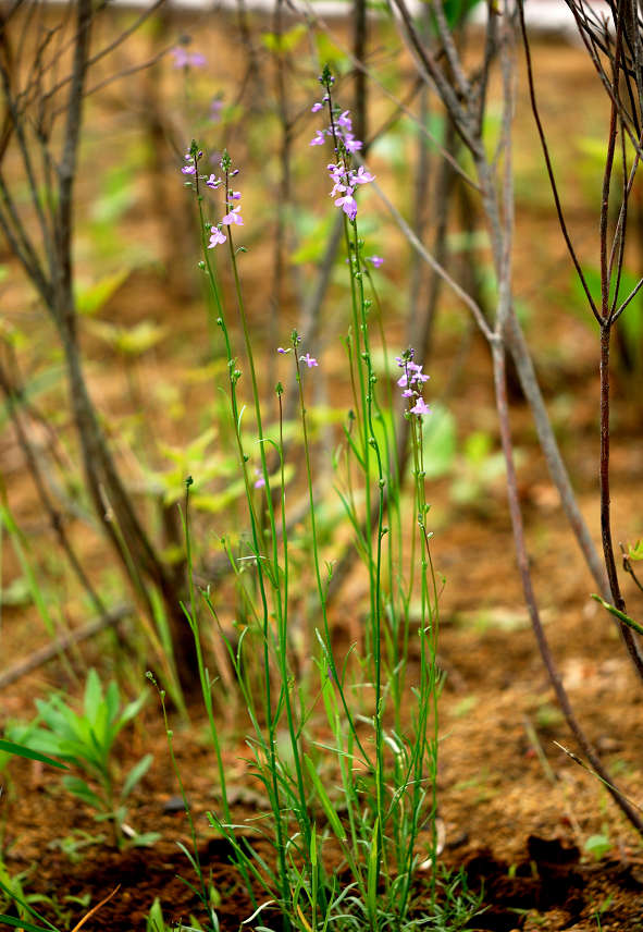 12.05.30.  (hata-gre)