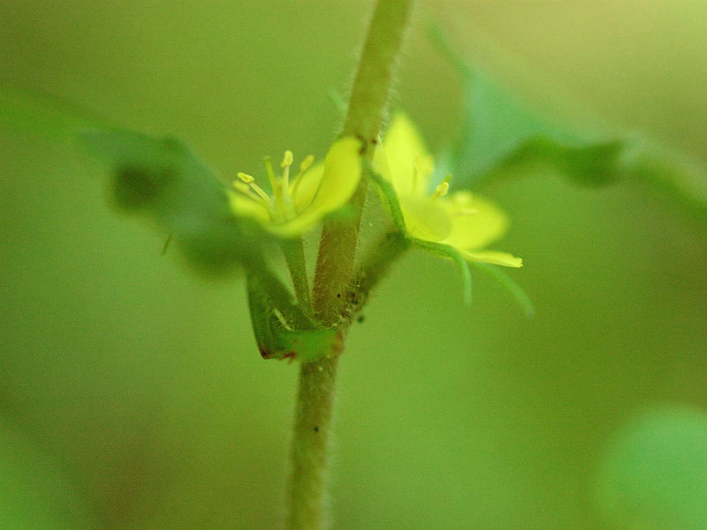 08.06.10.(�����R�j