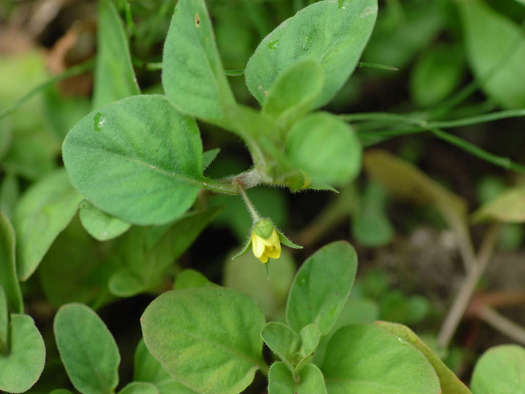 08.09.30.(�����R�j