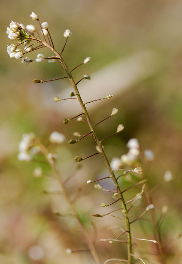 09.03.31.(�����R�j