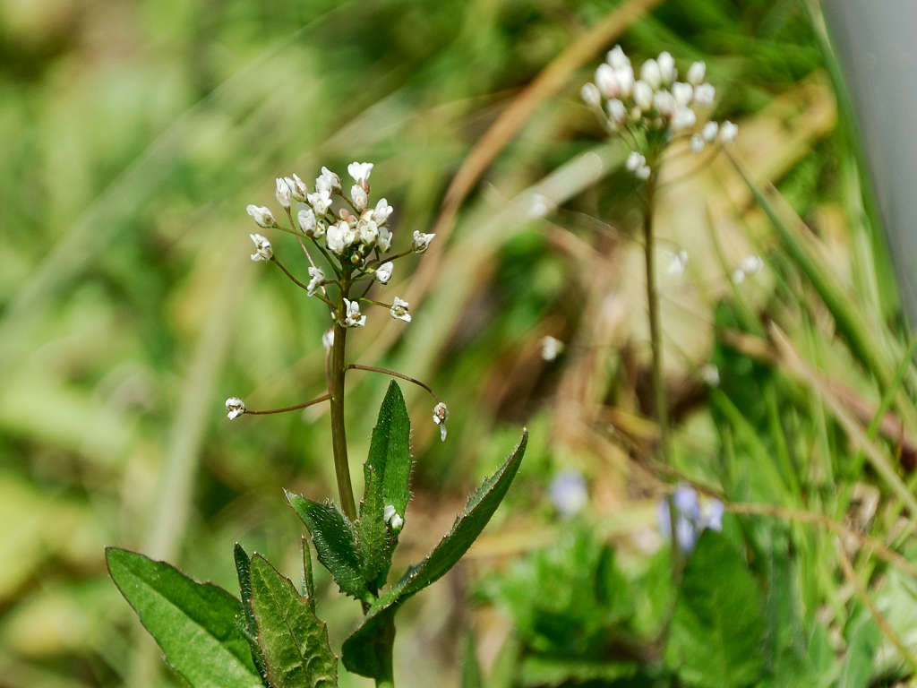 07.02.22.(�����R�j