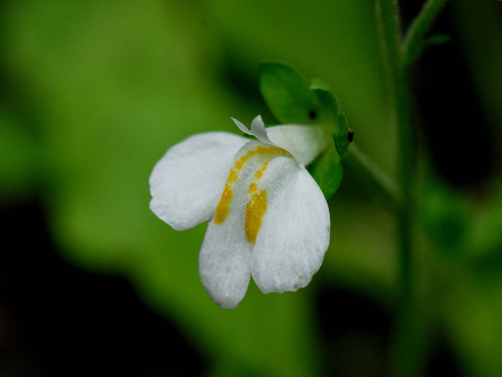 12.06.04.  (hata-gre)