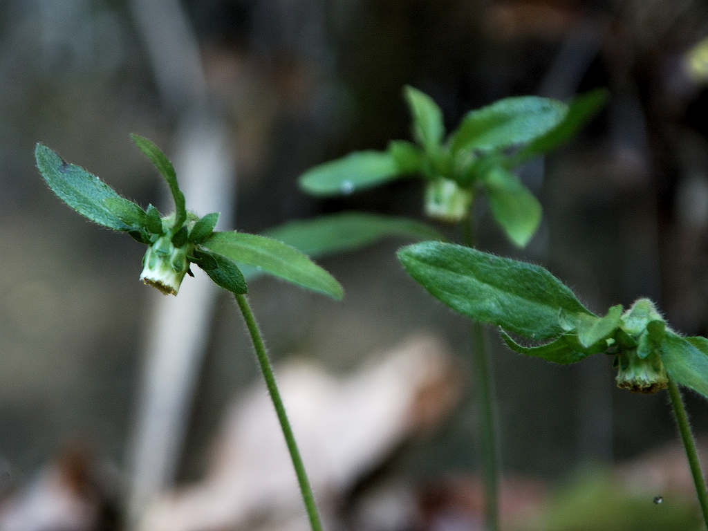 05.11.26.(�����R�j