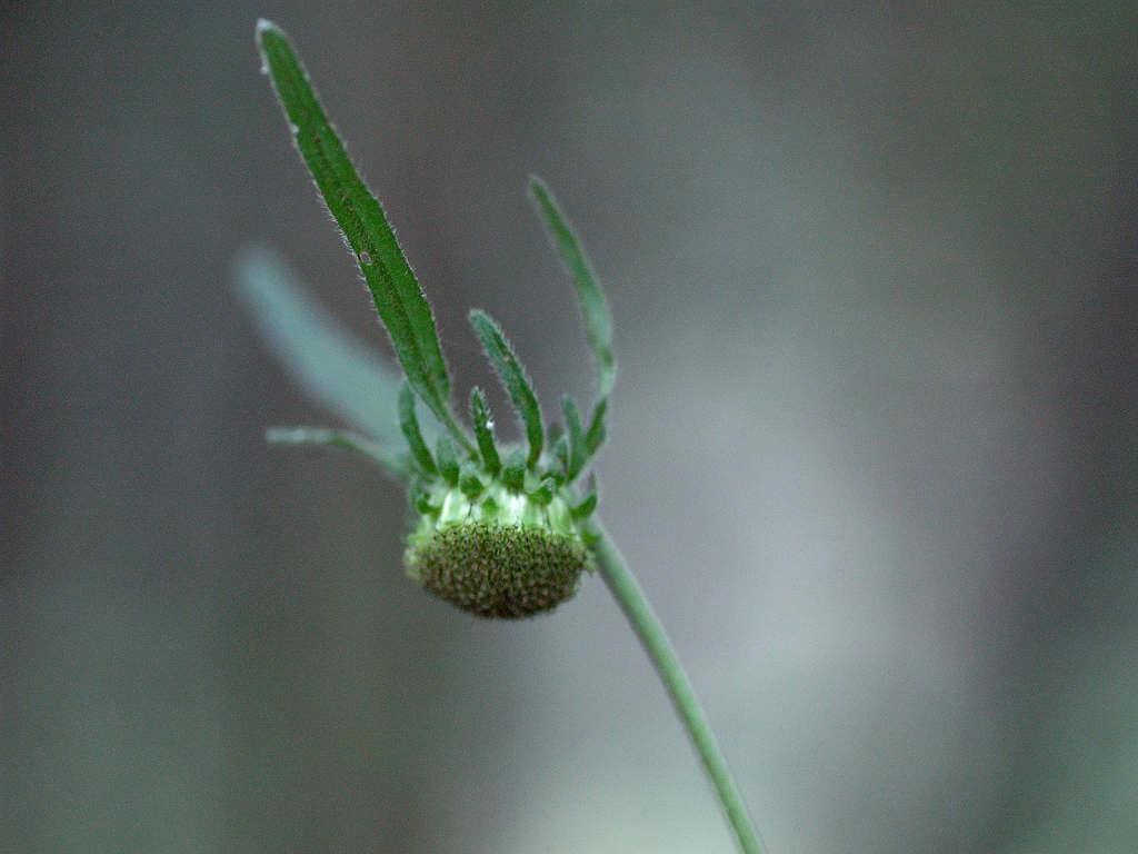 06.08.30.(�����R�j