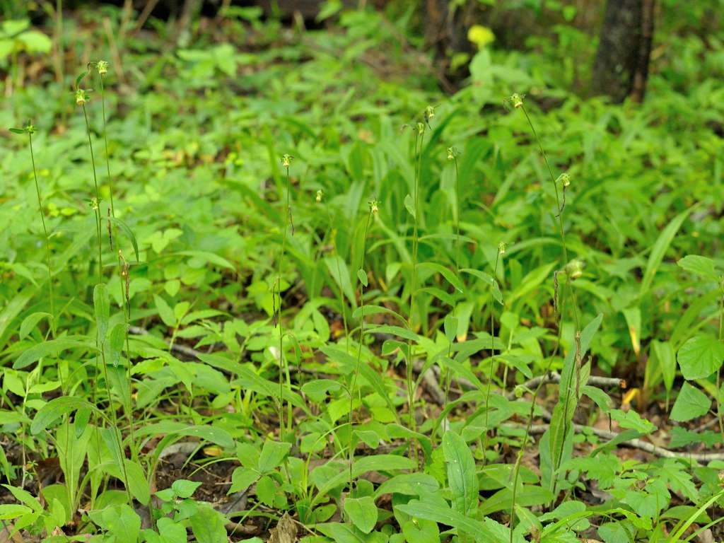 09.07.26.(�����R�j