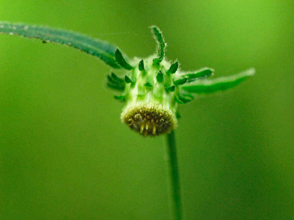 09.07.26.(�����R�j