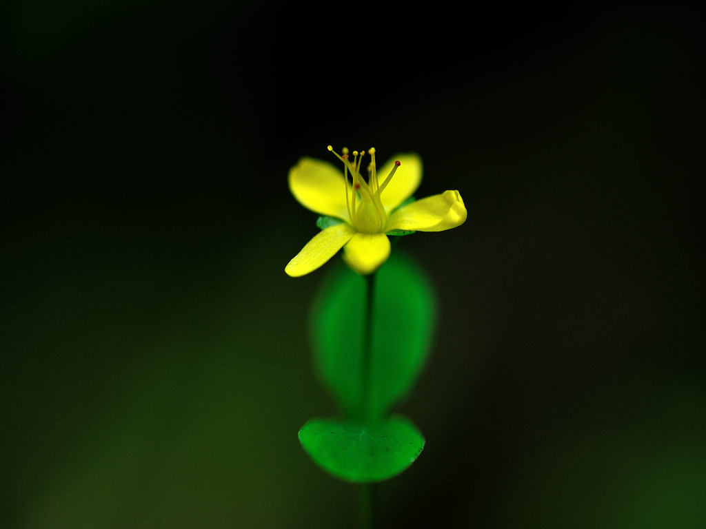 10.08.10.  (kagi-mt)