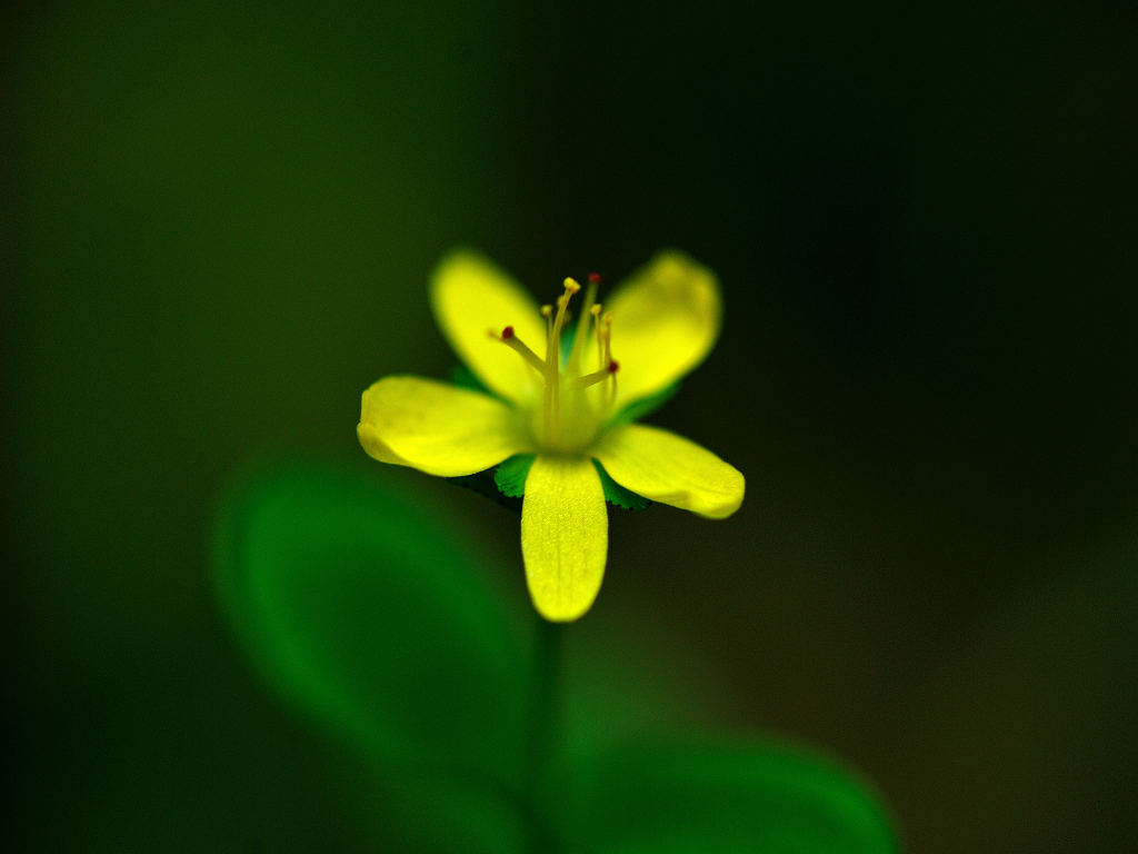 10.08.10.  (kagi-mt)