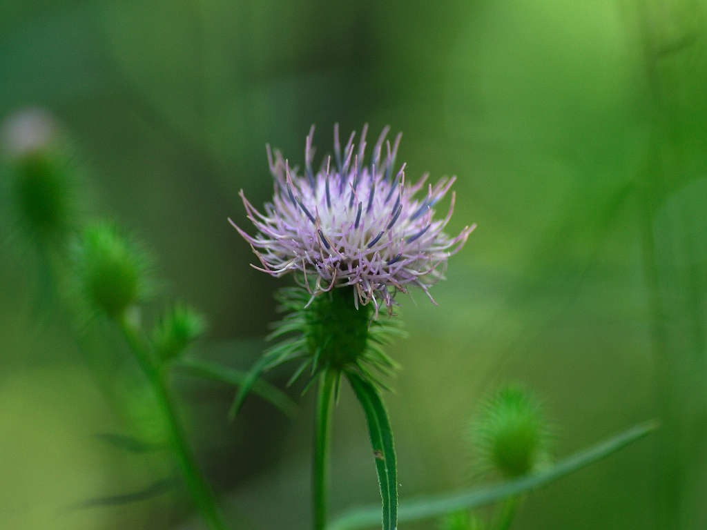 10.08.23.  (kagi-mt)