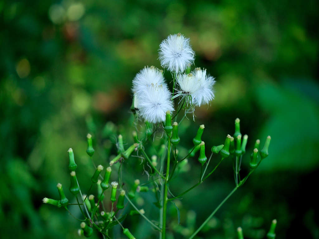 12.09.26.  (hata-gre)