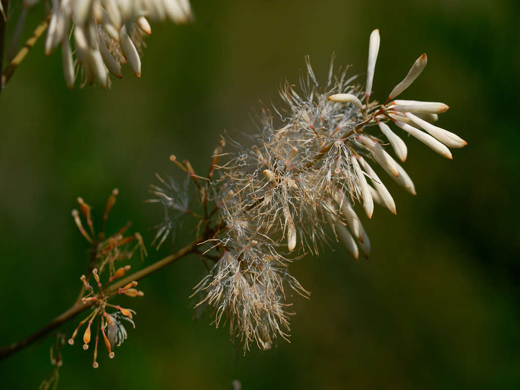 12.07.10.  (hata-gre)