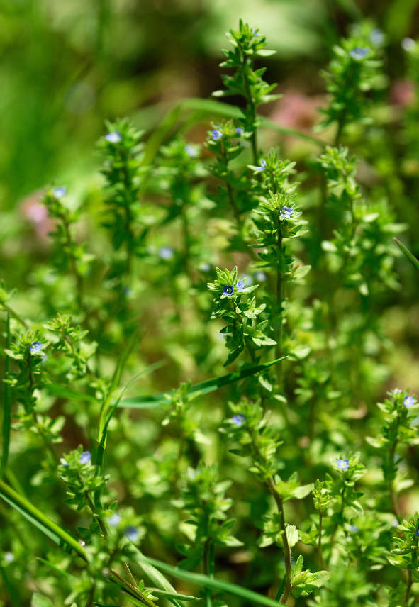 10.05.08.(�����R�j