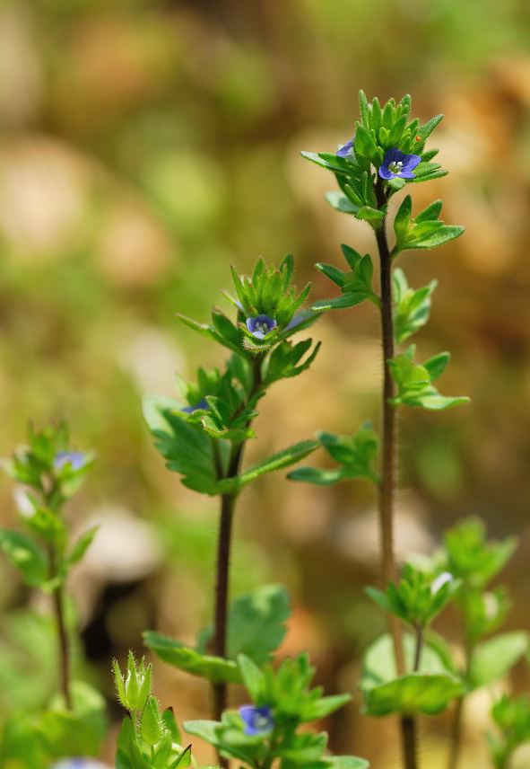 09.04.19.(�����R�j