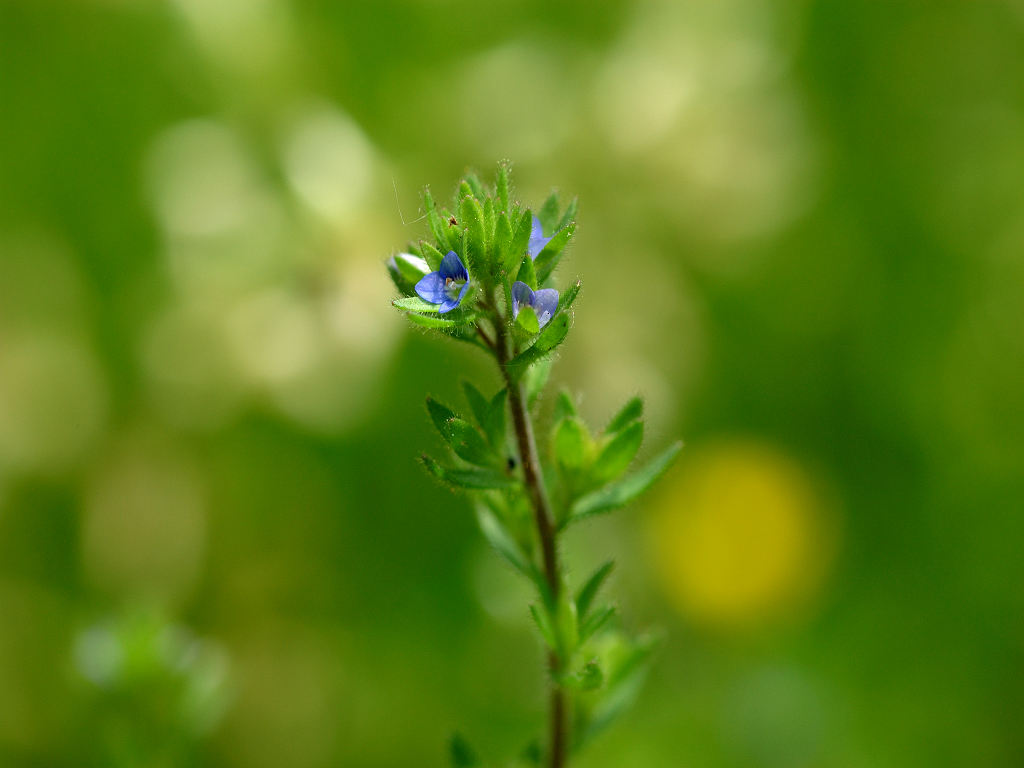 06.05.22.(�����R�j