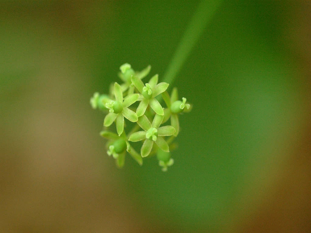 08.05.28.����  (yasou-bot)