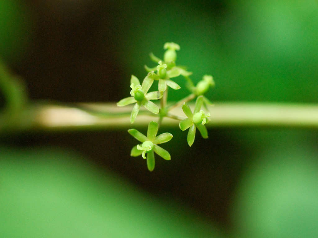 10.05.30.����  (yasou-bot)