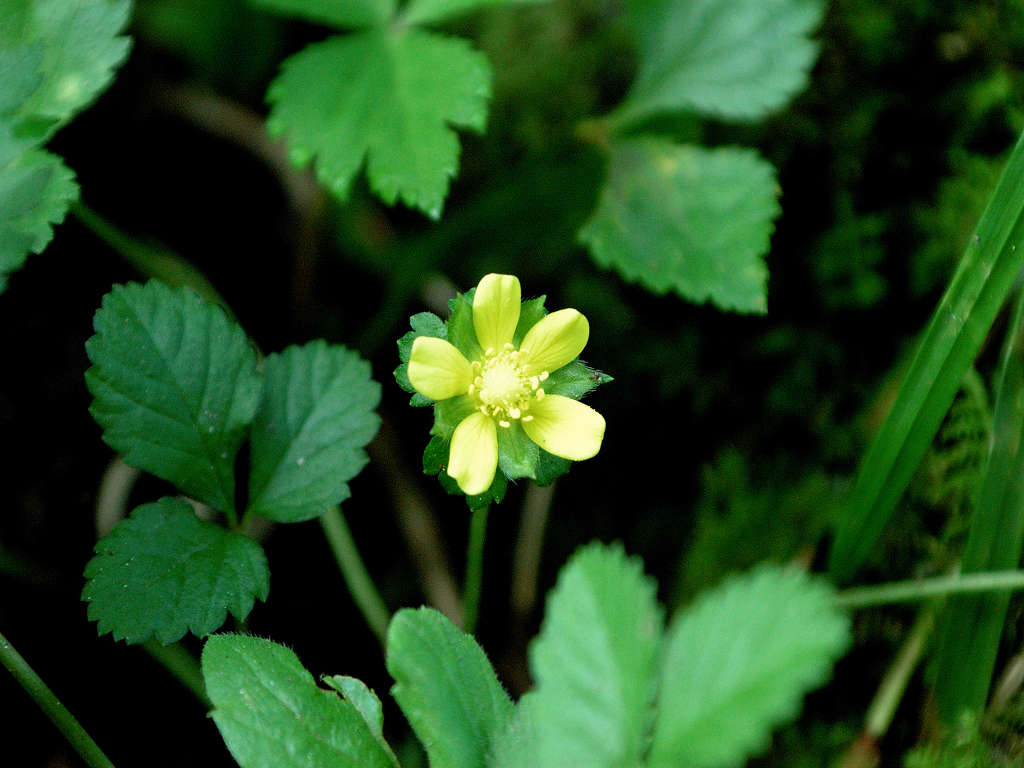 05.09.16.(�����R�j