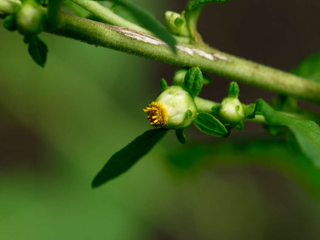 12.08.25.  (hata-gre)