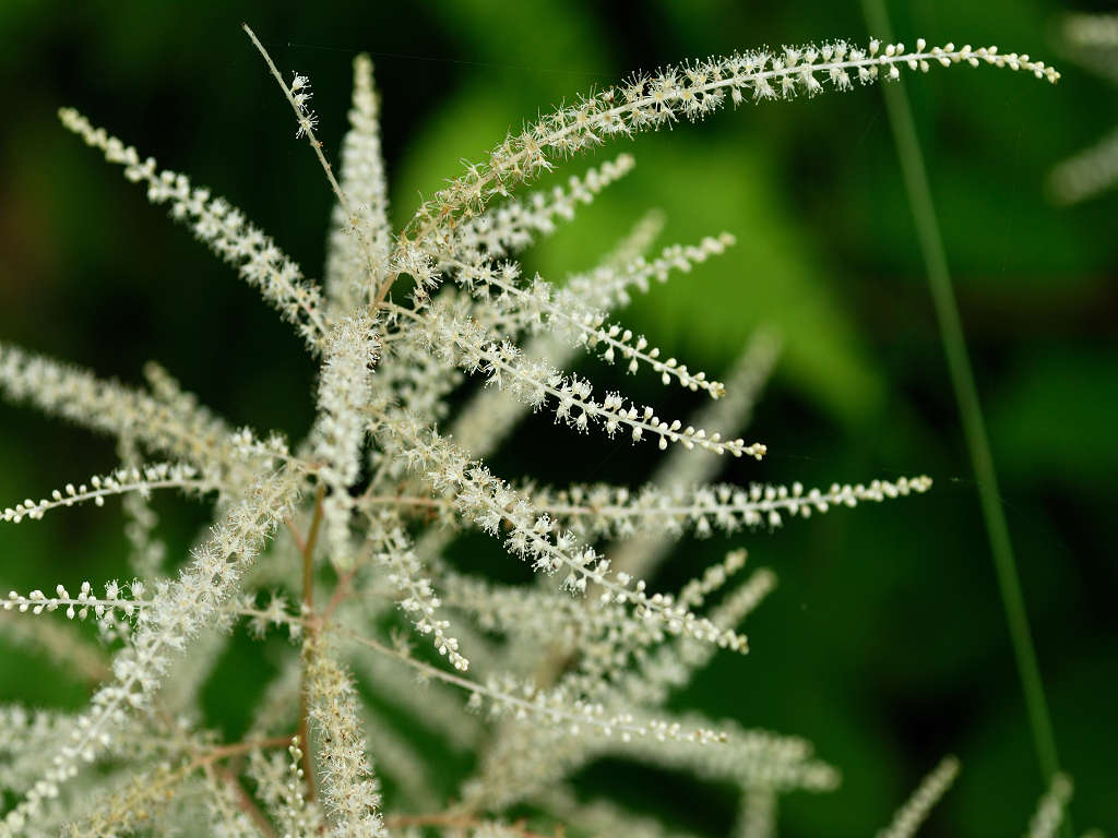 10.06.24.  (kagi-mt)