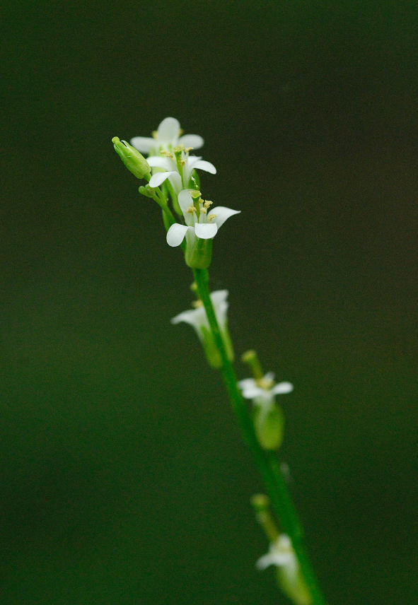 09.05.10.�@(tai-mt)