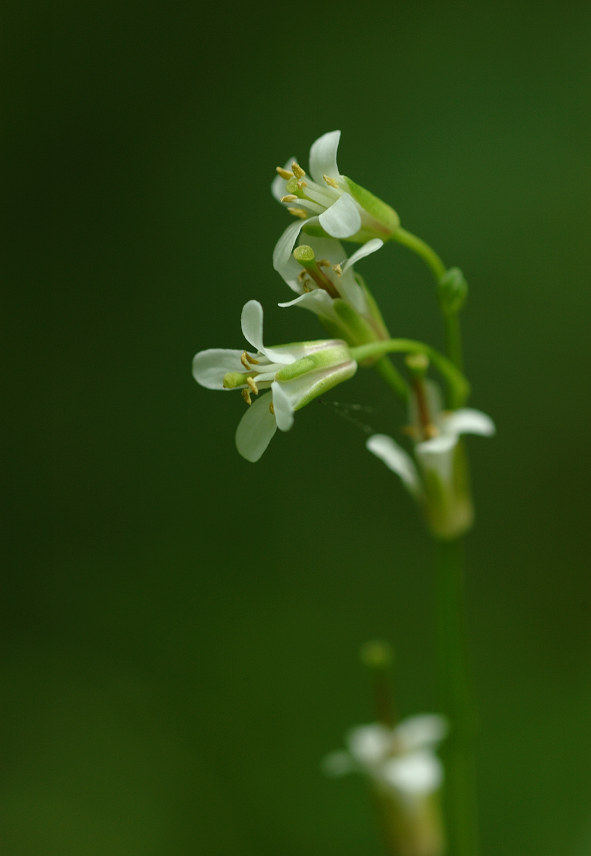 08.05.09.�@(tai-mt)