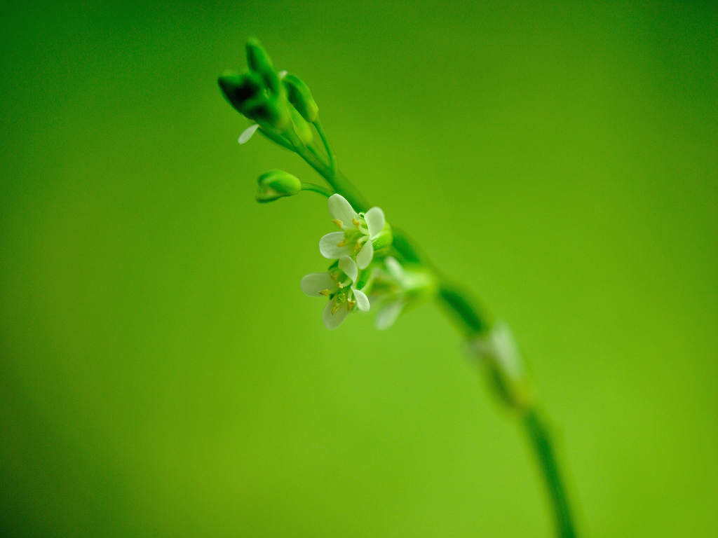 12.05.24.�@(tai-mt)