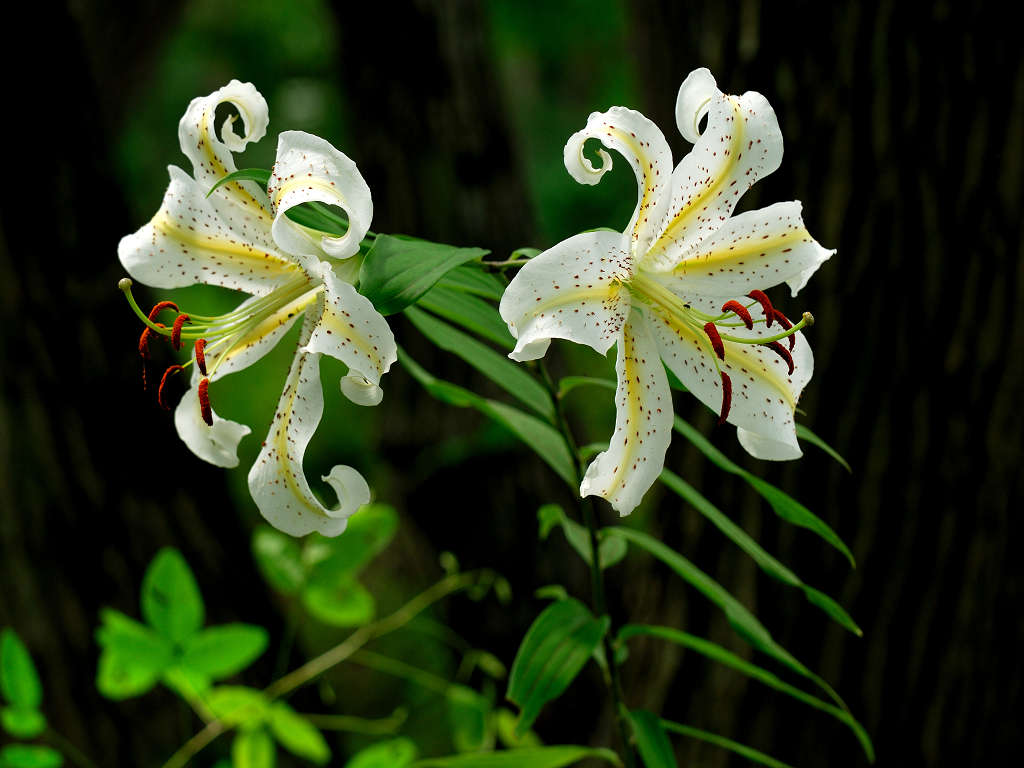 12.07.24.  (hata-gre)